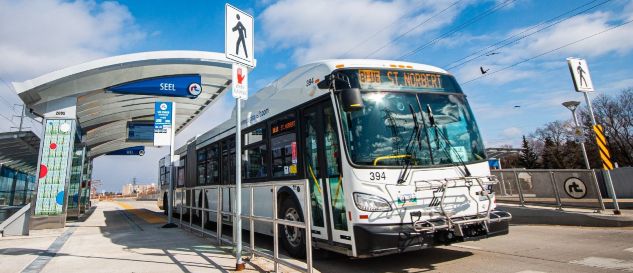 Winnipeg Transit Bus